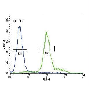 IHC-plus™ IL12RB2 Antibody (aa756-783)