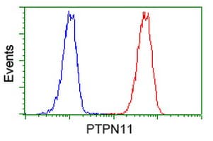 PTPN11 / SHP-2 / NS1 Antibody (clone OTI3F2)