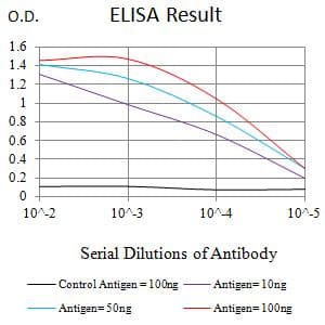 CXCR1 Antibody (clone 2B8A1)