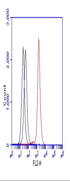 IHC-plus™ RICTOR Antibody (aa1650-C-term)