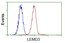LEMD3 / MAN1 Antibody (clone OTI6C10, Carrier-free)