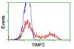 TIMP2 Antibody (clone OTI2G7)