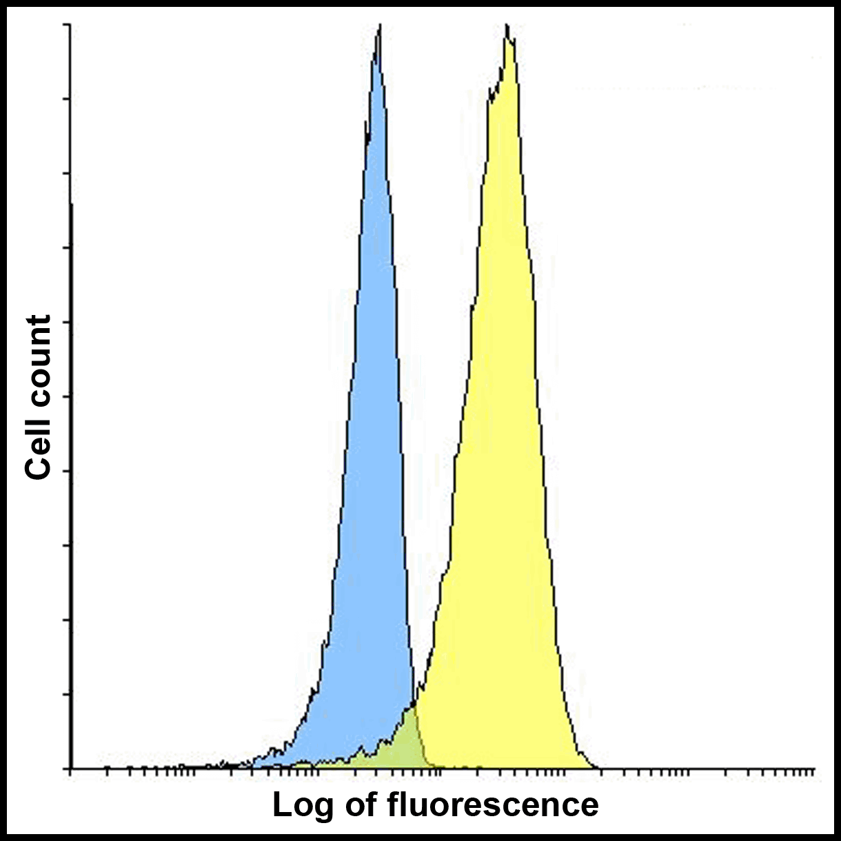 IHC-plus™ Monoclonal Mouse anti-Human VSIR / GI24 / VISTA Antibody (clone 4C4, IHC, IF, WB)
