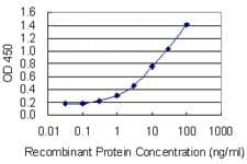 Monoclonal Mouse anti-Human CYP1A2 Antibody (clone 1D8, WB)