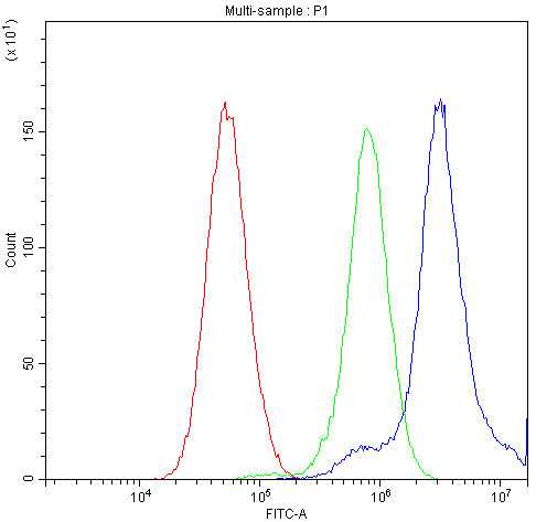 CCT4 / SRB Antibody