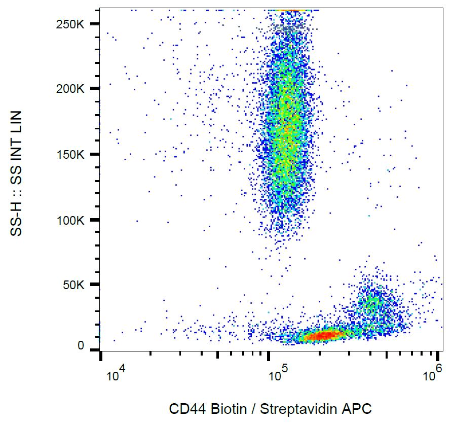 CD44 Antibody (clone MEM-85, Biotin)