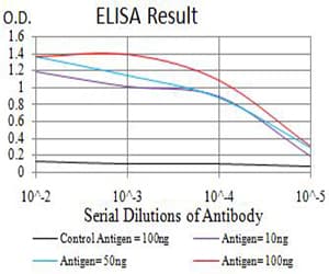BCL2L10 / Diva Antibody (clone 8A2F9)