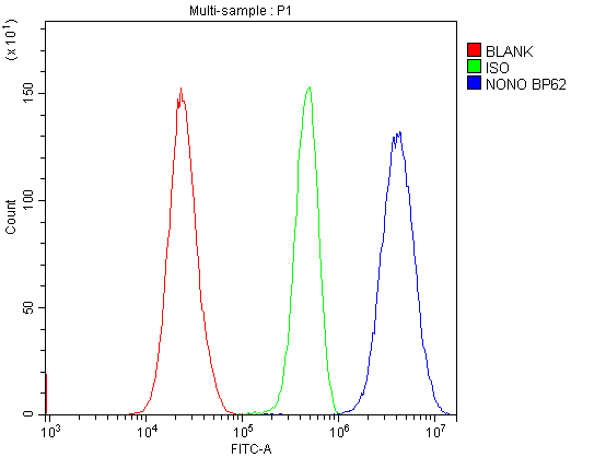 NONO / P54NRB Antibody (aa1-35)
