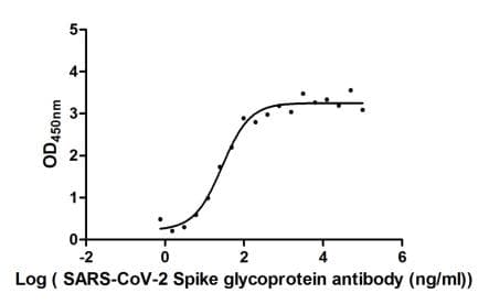 SARS-CoV-2 Spike Glycoprotein Antibody (aa16-685, clone H6)