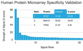 Monoclonal Mouse anti-Human GFAP Antibody (clone GFAP/2076, Azide-free,BSA-free, IHC, WB)