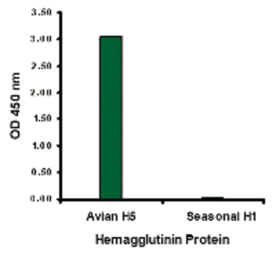 Influenza A Virus Hemagglutinin Antibody (clone 4F1F2)