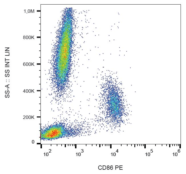 CD86 Antibody (clone BU63, PE)
