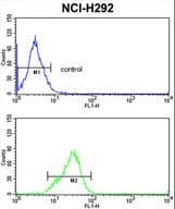 SRSF5 / SFRS5 Antibody (aa70-97)