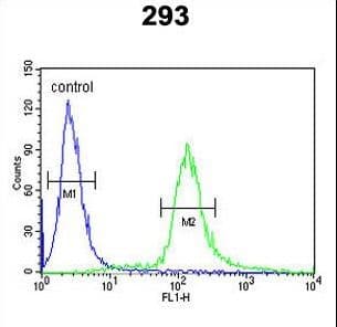 EPS8L3 Antibody (aa1-30)
