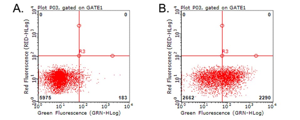 Monoclonal Mouse anti-Human HAVCR2 / TIM-3 Antibody (clone OTI1G6, WB)