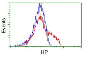 Monoclonal Mouse anti-Human HP / Haptoglobin Antibody (clone OTI4H5, IF, WB)