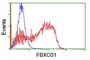 FBXO31 Antibody (clone OTI1A11, Carrier-free)