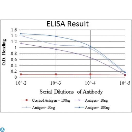 CEACAM5 / CD66e Antibody