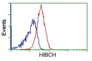 HIBCH Antibody (clone OTI4G1)