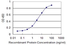 Monoclonal Mouse anti-Human HNRPA1 / HnRNP A1 Antibody (clone 2E6, IF, WB)