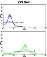 EHD3 Antibody (aa189-216)