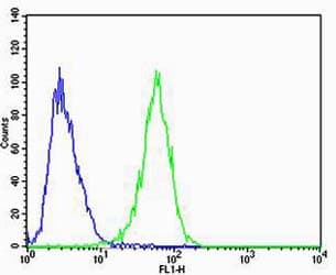 CAPN6 / Calpain 6 Antibody (clone 1395CT446.22.5)