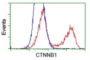 CTNNB1 / Beta Catenin Antibody (clone OTI9H2, Carrier-free)