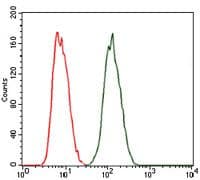 PRKACG Antibody (clone 20000)