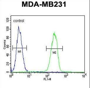 Polyclonal Rabbit anti-Human 15-PGDH / HPGD Antibody (aa184-212, IHC, WB)