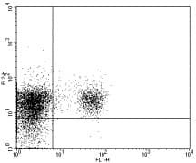 Monoclonal Rat anti-Mouse CD274 / B7-H1 / PD-L1 Antibody (clone MIH5, PE)