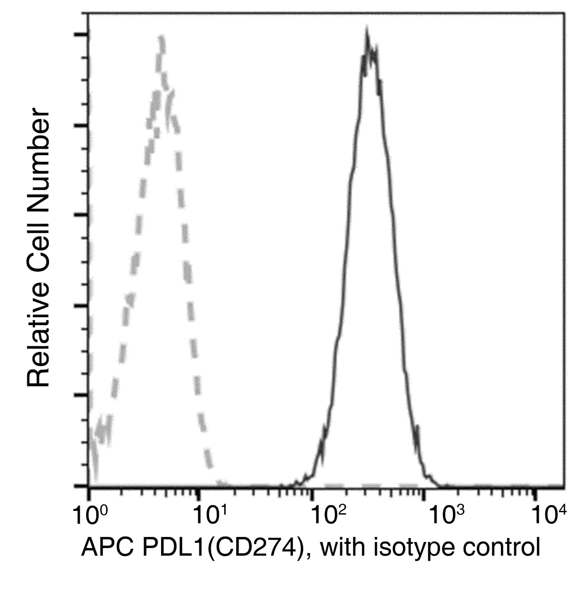 CD274 / B7-H1 / PD-L1 Antibody (clone 312, APC)