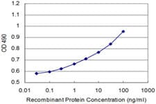 NME2 Antibody (clone 1D3)