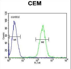 STAMBPL1 Antibody (aa135-163)