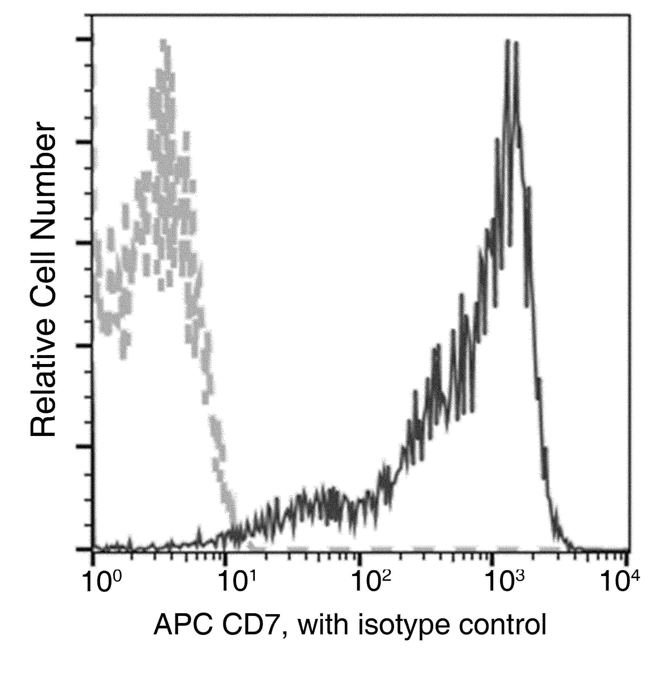 CD7 Antibody (clone 12, APC)