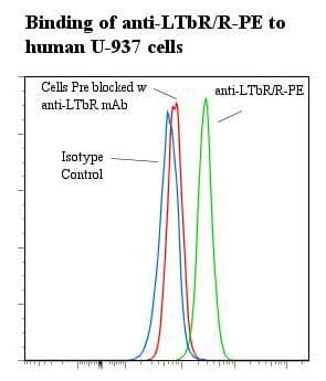 LTBR Antibody (clone ANCLTR2/9E2, RPE)