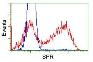 SPR Antibody (clone OTI4F5, Carrier-free)