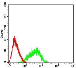 CD96 / TACTILE Antibody (clone 8A11F8)