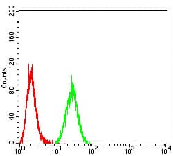 KDM1B Antibody (clone 5E10C1)