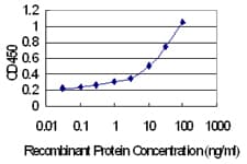 SLC22A18AS Antibody (clone 4B1)
