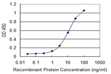 APOER2 / LRP8 Antibody (clone 1A1)