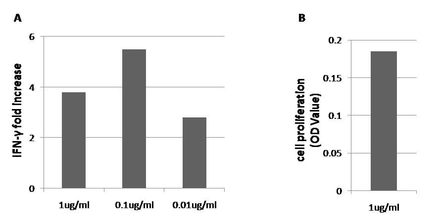 PDCD1 / CD279 / PD-1 Antibody (clone HN94, Preservative Free)