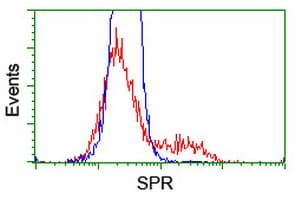 SPR Antibody (clone OTI2C6)