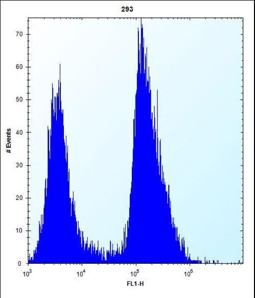 TRIP13 Antibody (aa363-392)