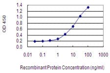 Monoclonal Mouse anti-Human NRAP Antibody (clone 1E9, WB)