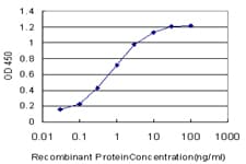 CHRM2 / M2 Antibody (clone 4B5)