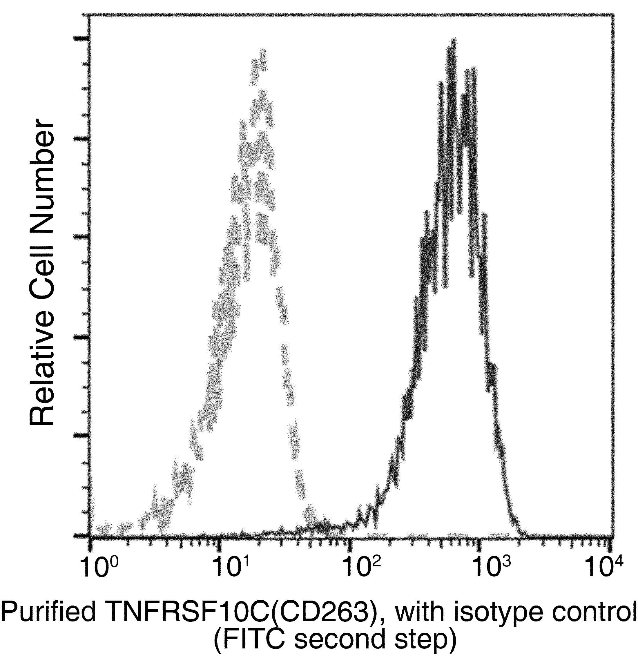 Monoclonal Rabbit anti-Human TRAIL-R3 / DCR1 Antibody (clone 003, Preservative Free)