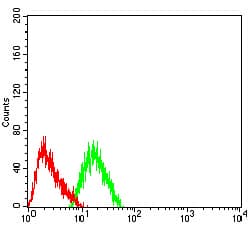 CHRNA7 Antibody (clone 7F10G1)