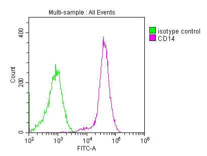 CD14 Antibody