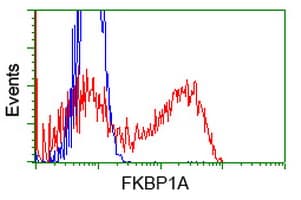 FKBP1A / FKBP12 Antibody (clone OTI3B3)