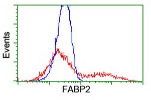 IHC-plus™ I-FABP / FABP2 Antibody (clone 2C4)
